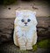 Angora Cat, White Kitten, Realistic Pets, Embroidered, Iron on Patch